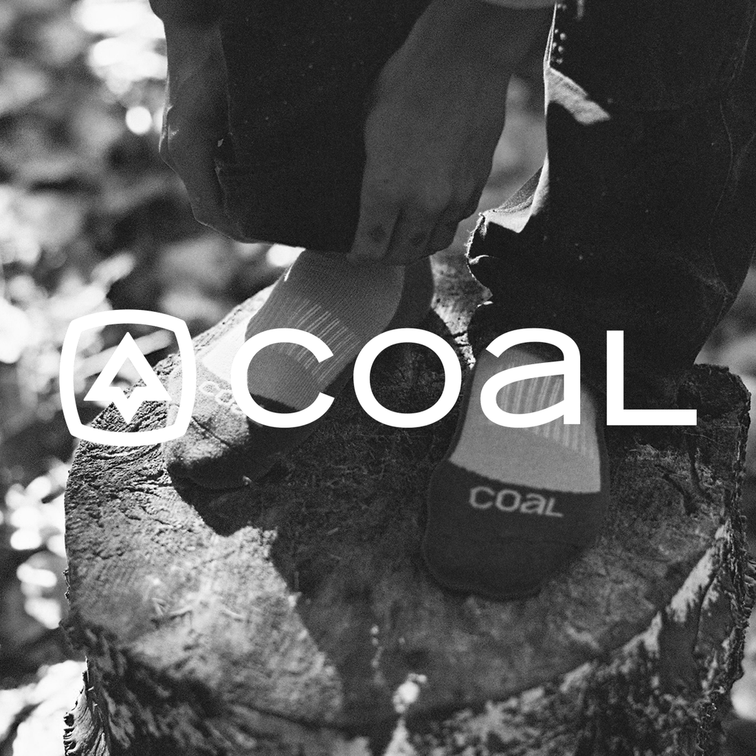 Coal