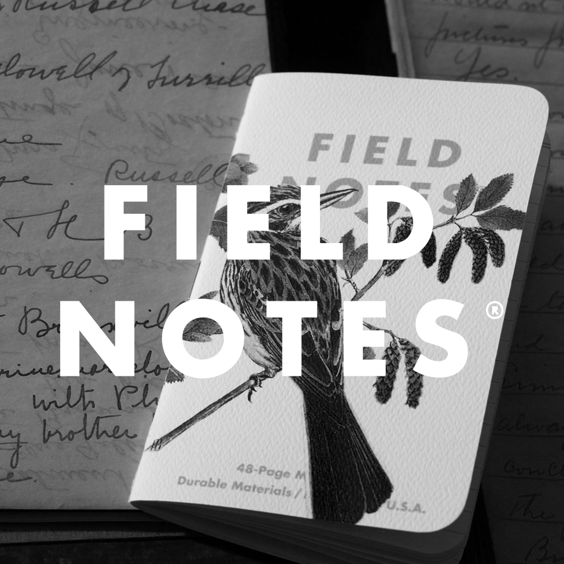 Field Notes