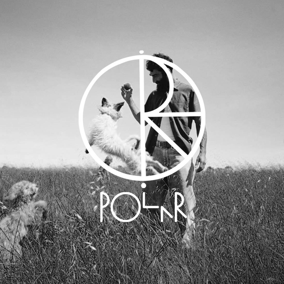 Polar