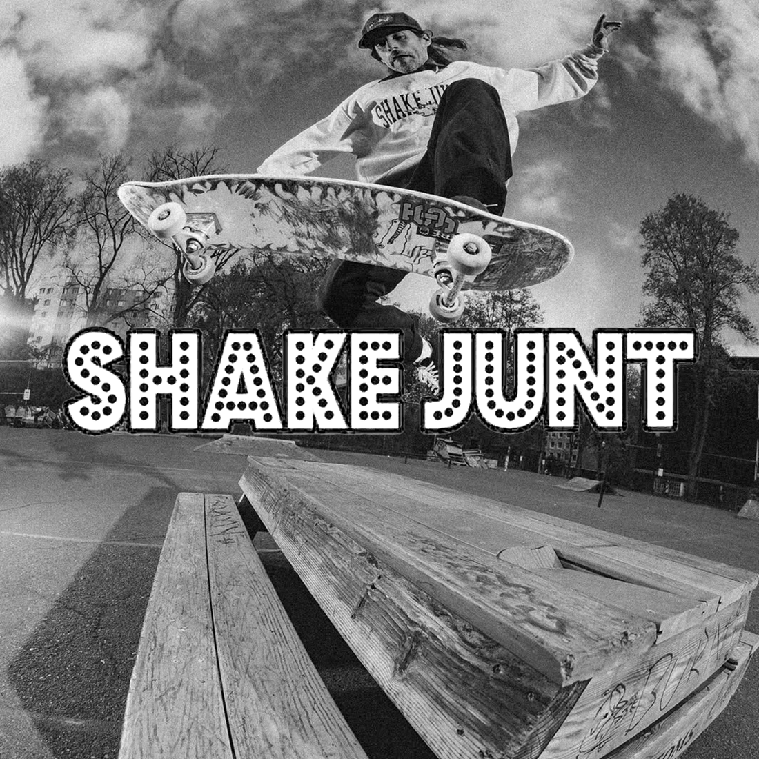 Shake Junt