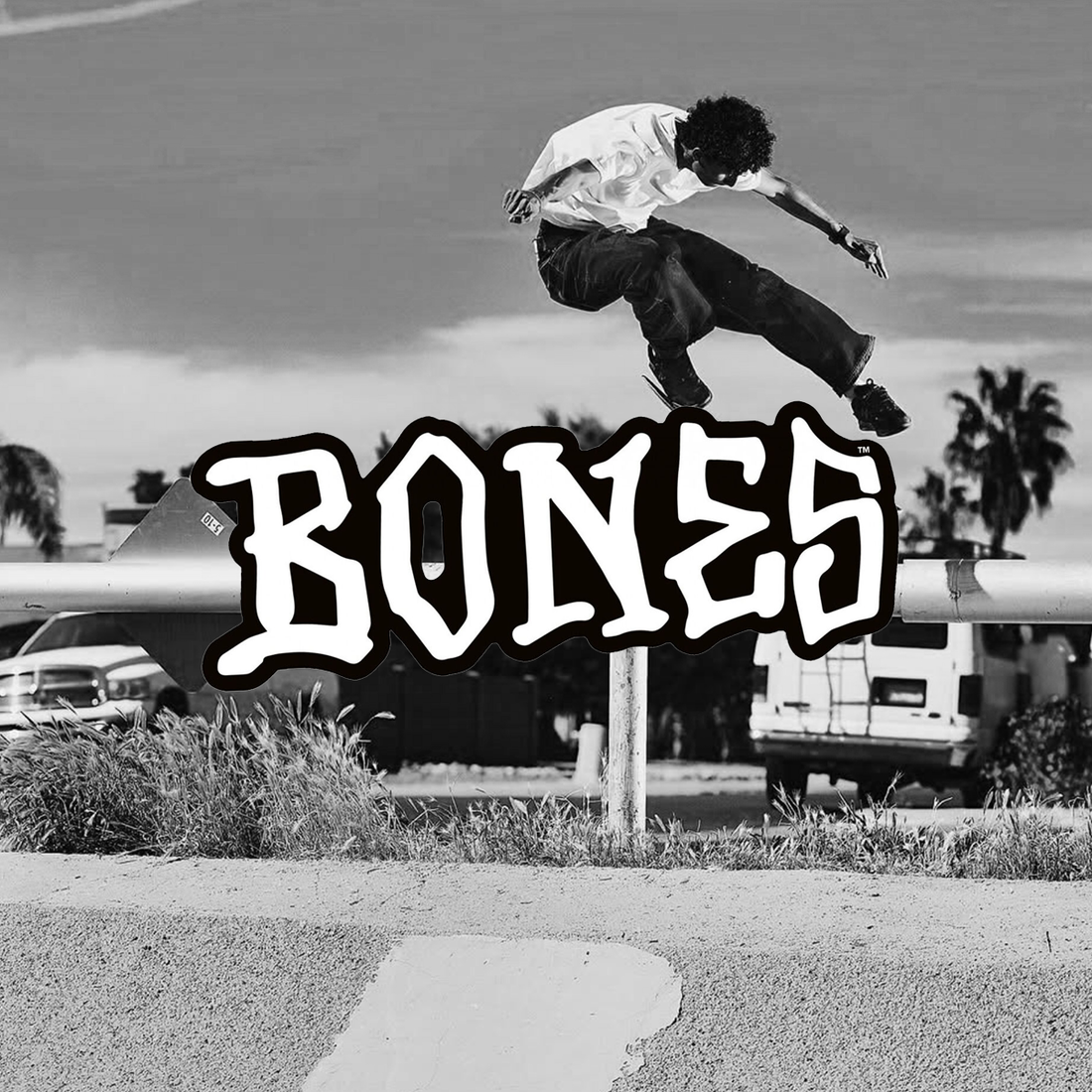 Bones