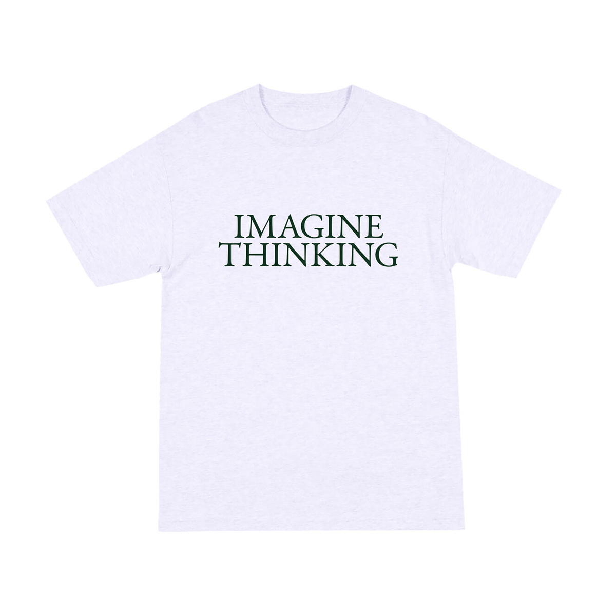 Quasi Imagine T-Shirt - Ash